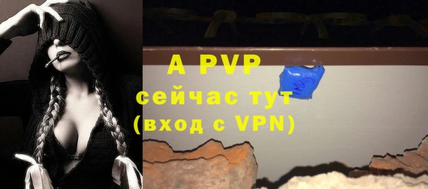 mix Инта