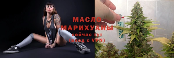 мет Каменка