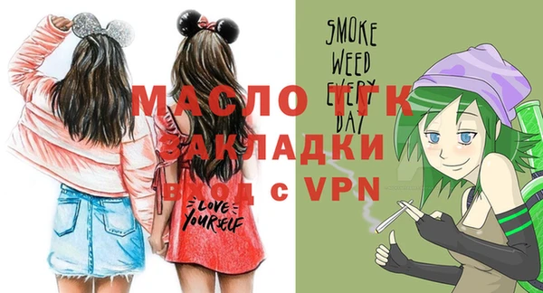 mix Инта