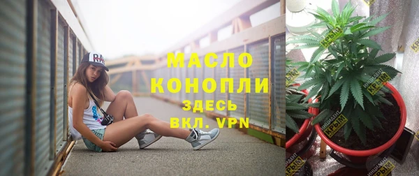 индика Куйбышев
